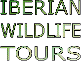 IBERIAN
WILDLIFE
TOURS